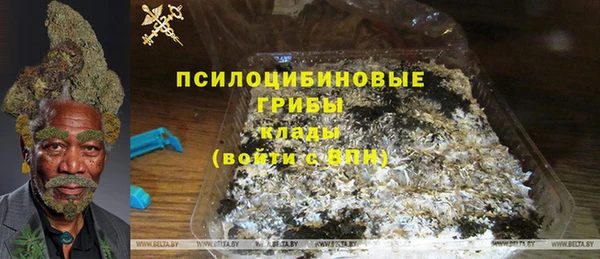 молекула духа Верхний Тагил