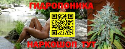 эйфоретик Дубна