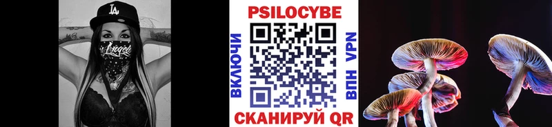 купить закладку  Можайск  Галлюциногенные грибы мицелий 