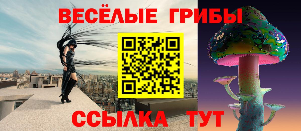 Псилоцибиновые грибы GOLDEN TEACHER Можайск