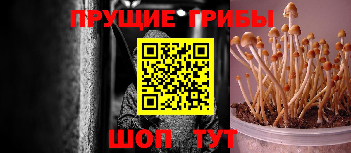 Галлюциногенные грибы мухоморы  Вход с VPN  Можайск 